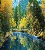 Autumn Forest Landscape