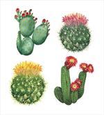 Watercolor Tropical Art