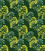 Helichrysum Yarrow Branches