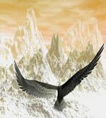 Eagle Flying Mountains artwork