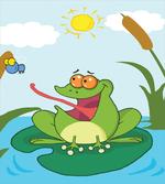 Animal on Pond Catches a Fly