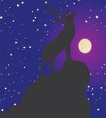 Elk Silhouette Night