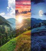 Mountain Forest View