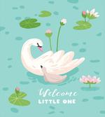 Baby Swan Welcoming