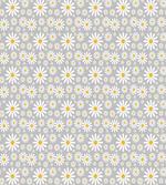 Chamomile Petals Image