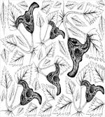 Leaves and Water Caltrop