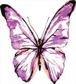 Butterfly Wings