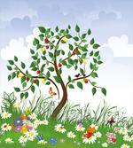 Cartoon Garden Colorful