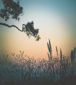Thailand Phurue Sunset