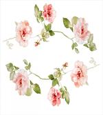 Rose Flower Petals