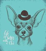 Life is Better with a Chi