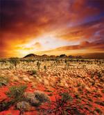 Sunset Central Australia