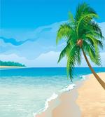 Palm Tree Calm Ocean