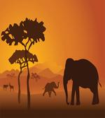 Savanna Mammals
