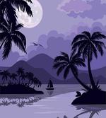 Caribbean Island Night