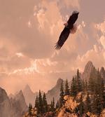 Nature Rocky Mountains
