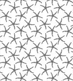 Marine Design of Starfish