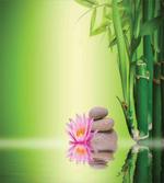 Garden Peaceful Mind artwork