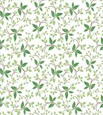 Ivy Green Leaves