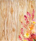 Spring Florals Daisies