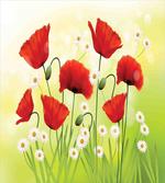 Floral Chamomile Poppy artwork