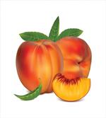 Vivid Vitamin Rich Snack