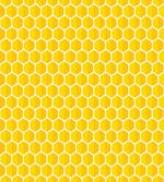 Honeycomb Cells