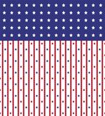 Stars and Stripes Flag