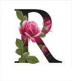 Flower of Love Rose R