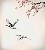 Cherry Trees in Spring