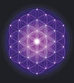 Flower of Life Stars