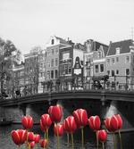 Amsterdam Canal