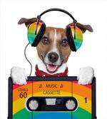Dog Headphones