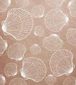 Hand Drawn Shells