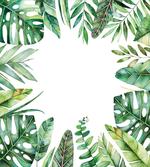 Jungle Themed Picture