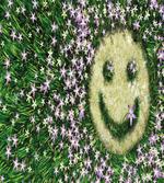Smiley Emoticon on Grass