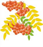Juicy Fruits and Leafage