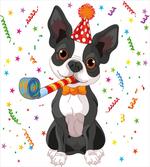 Boston Terrier Dog