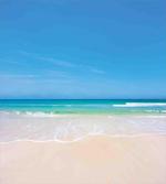 Paradise Sunny Sky Scene