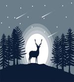 Mystic Wild Animal