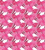 Pink Spring Blossoms