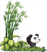 Panda Bear Bamboo
