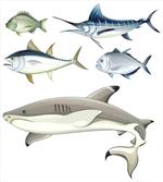 Collage of Aquatic Animal artwork
