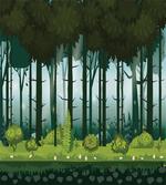Mystic Forest Trees Twilight