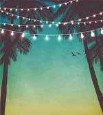 Night Time Sunset Palms