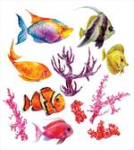 Tropic Life Seaweed Coral artwork