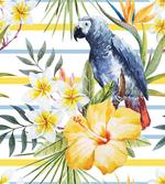 Tropic Exotic Parrots