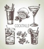 Vintage Sketch Beverage
