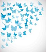 Butterfly Flock
