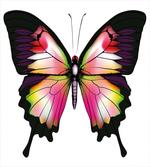 Lively Insect
